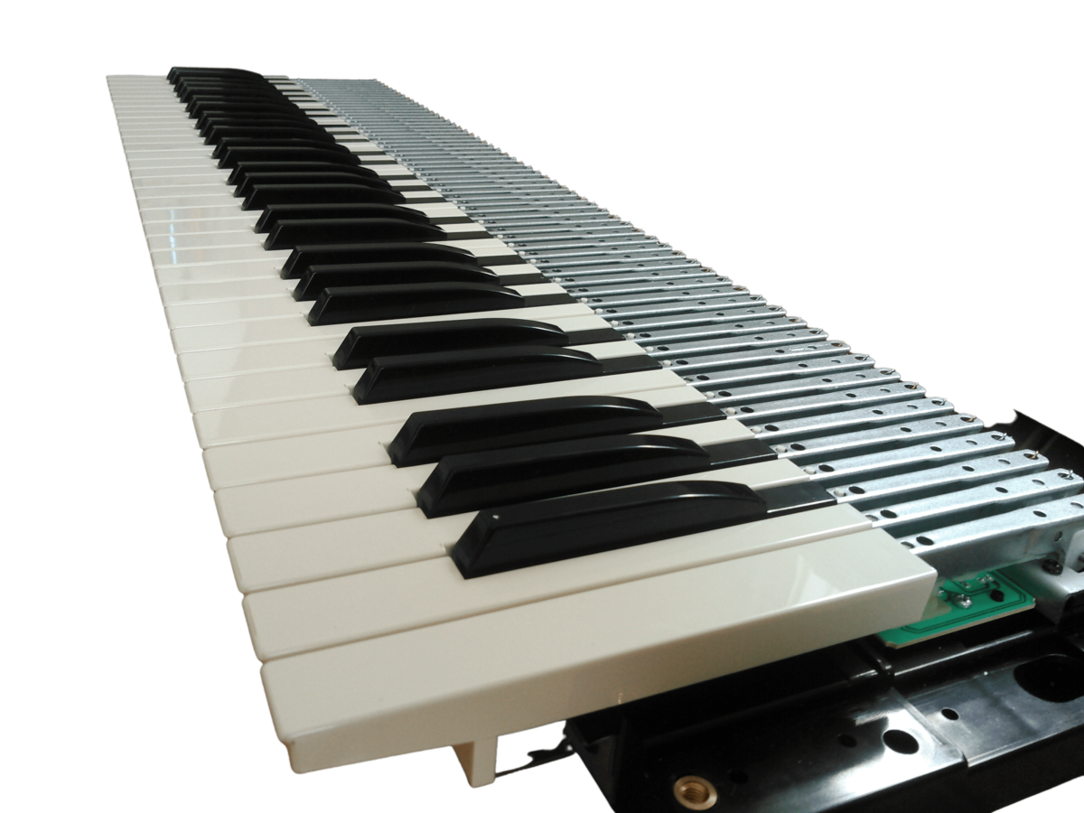 Tapered Tail Fatar Keyboard - Arnold Organs